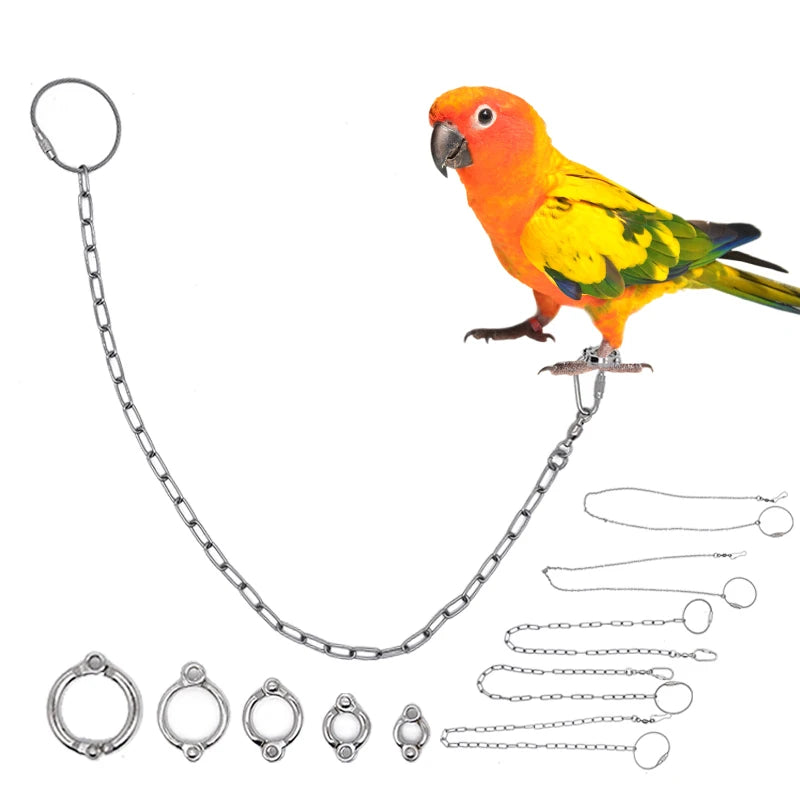 Parrot Leg Ring Stainless Steel Bird Ankle Foot Chain Ring Anti Bite Wire Rope Outdoor Flying Training Accessories Pigeon Supply