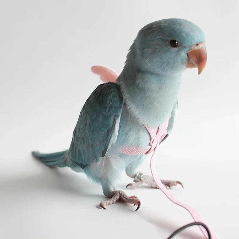 Bird Flying Harness Leash Suit Long Cable Bird Harness Leash Anti-Bite Training Rope Decorative small Parakeet Parrot Vest Rope