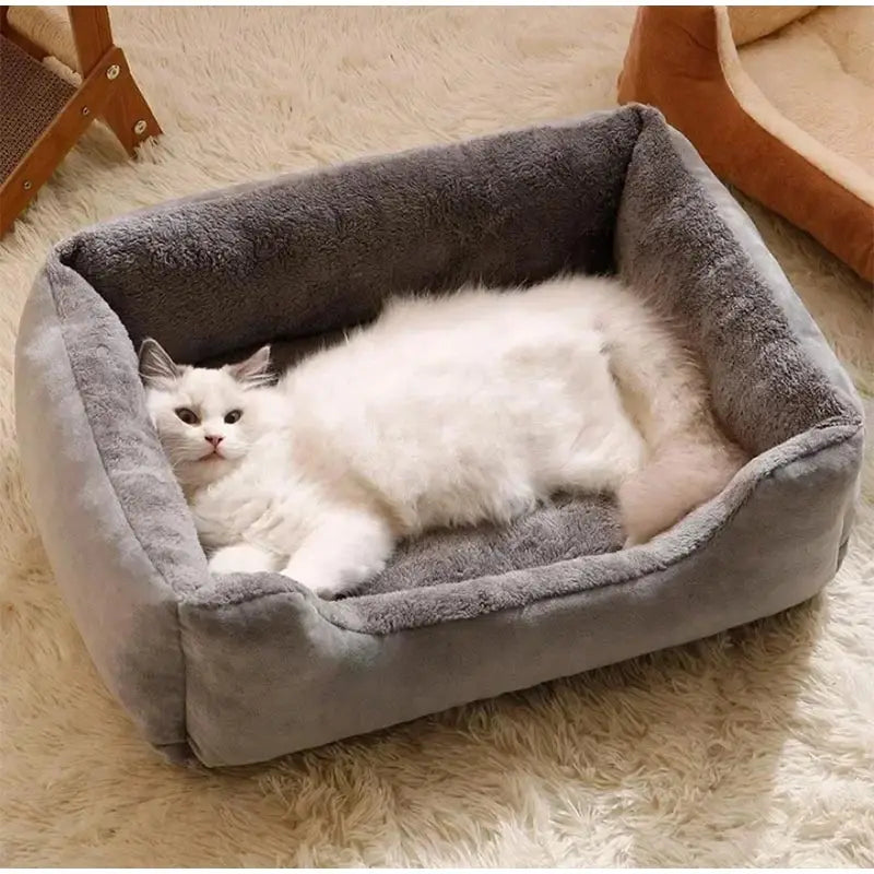 Bed for Cats Pet Products Cushions Things Accessory Habitats Basket House Beds Kitten Goods Accessories Dog All Houses Supplies