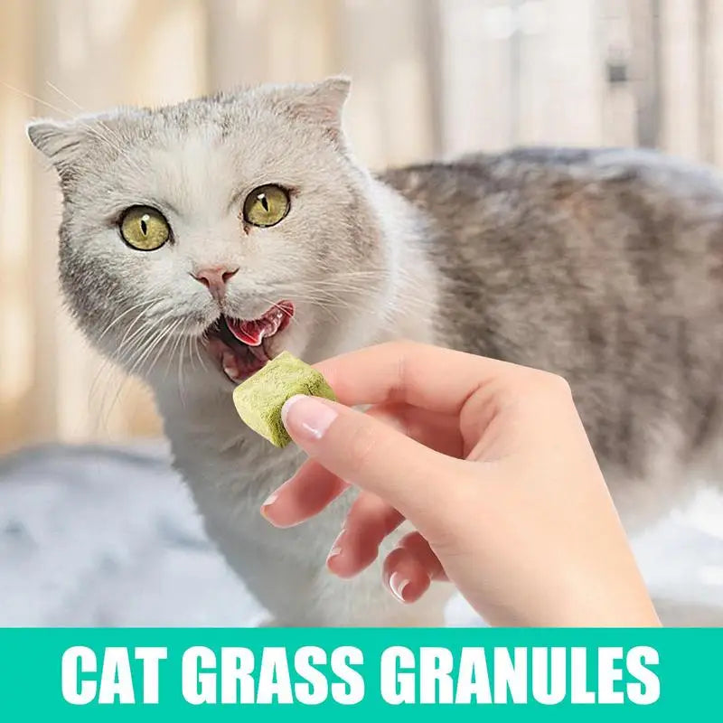 Natural Cat Grass Food 60g Pet Freeze Dried Teething Cat Chew Grass Snack Catnip Kitten Teeth Care Edible Food Toys for Hair