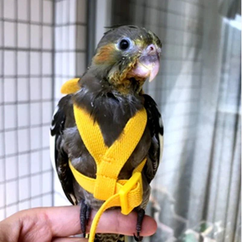 Parrot Flying Harness Leash Suit Pet Bird Outdoor Flight Training Rope Cockatiel Supplies Macaw Accessories  Stuff For Budgie