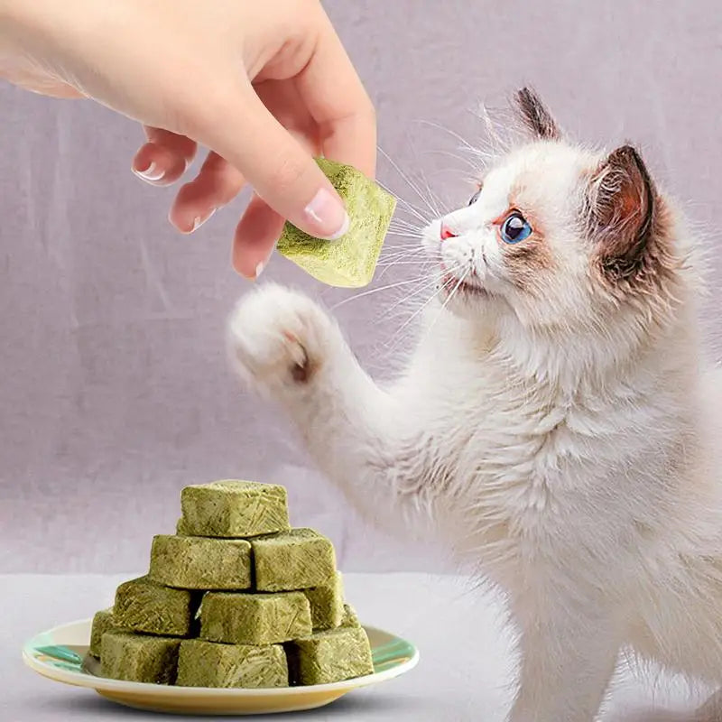 Cat Grass Teething Snack 60g Chew Grass Snack Pet Cat Freeze Dried Food Catnip Kitten Teeth Care Edible Food Toys For Hair